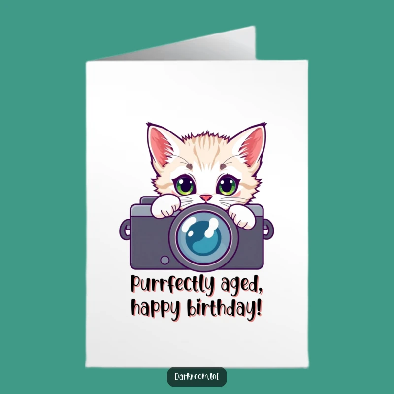 Free Printable Birthday Card: Curious Kitten Photographer - Hilarious Feline Fun, Instant Download